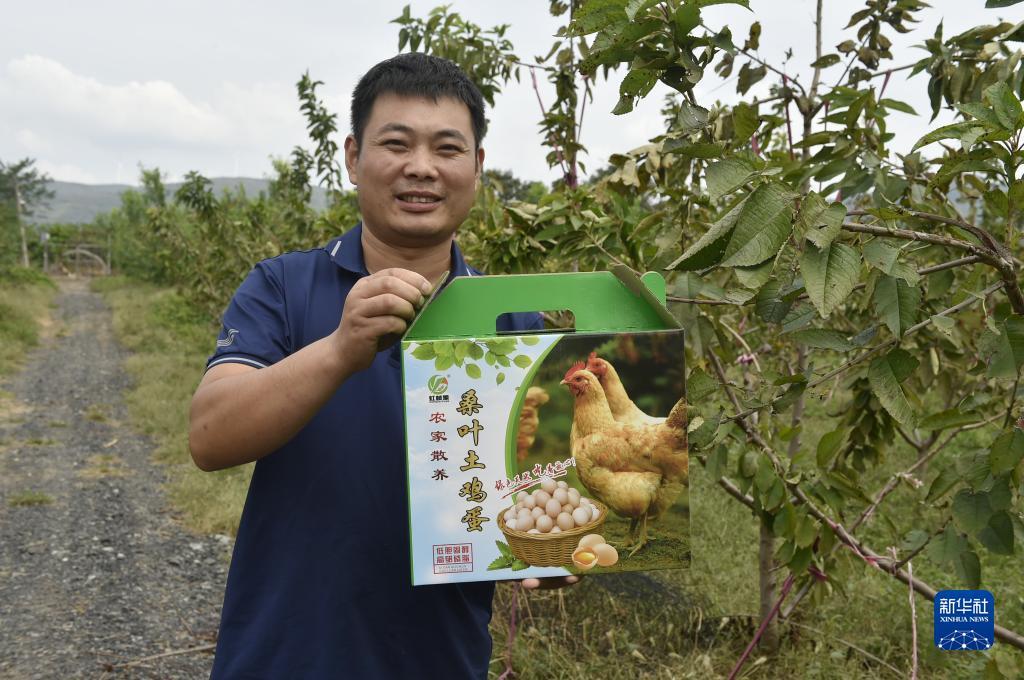 合乐888登录